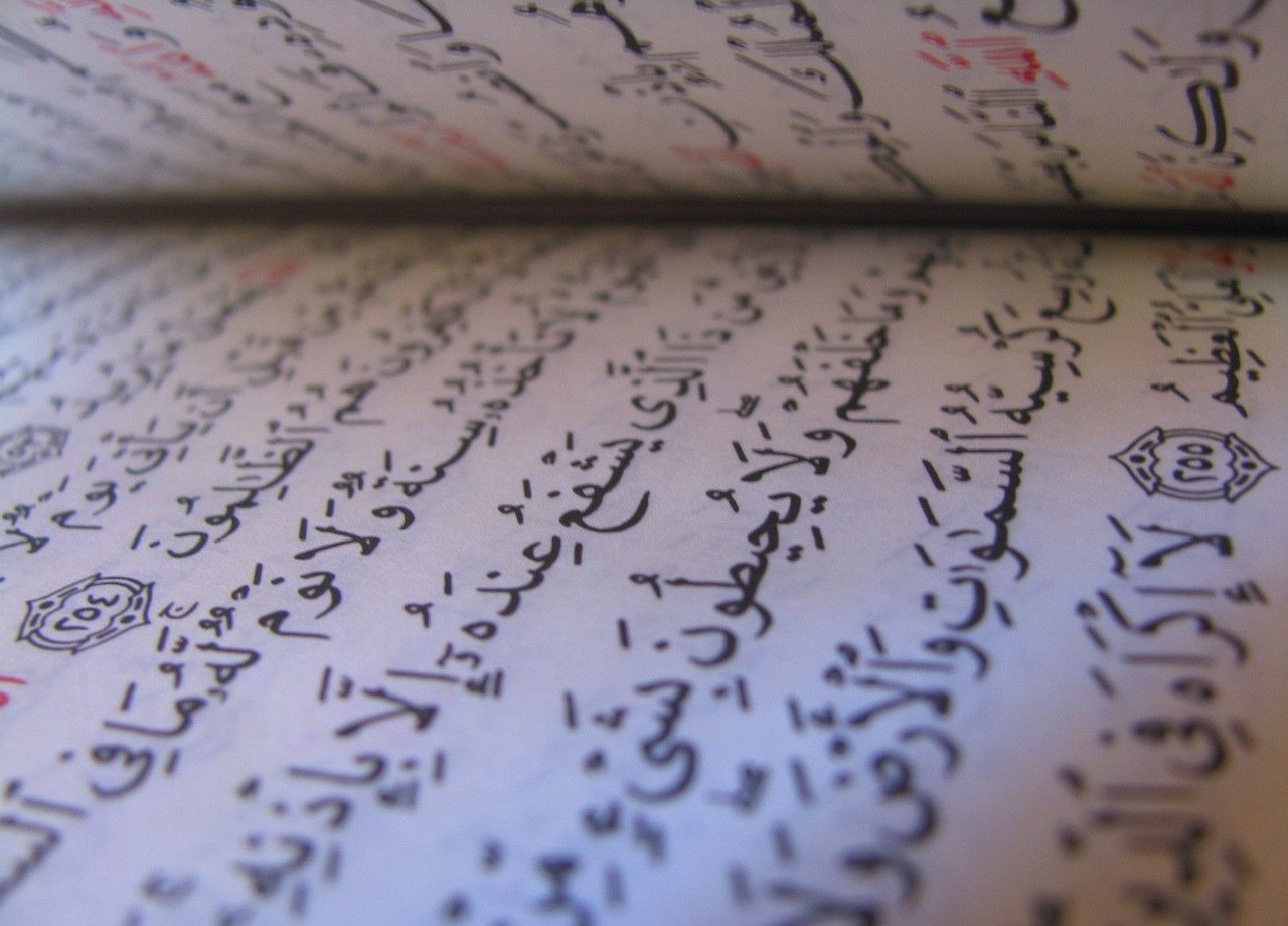 Traversing The Path of Seeking Knowledge as a Revert